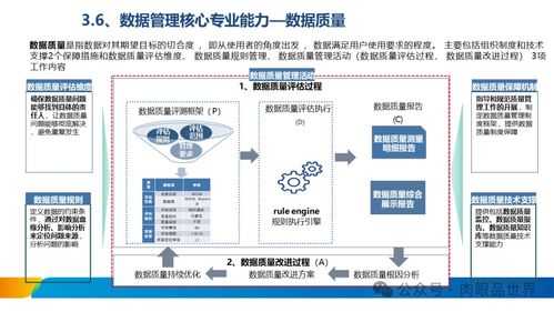 XX集團(tuán)數(shù)據(jù)治理體系建設(shè)方案 數(shù)據(jù)處理服務(wù)